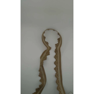 Taśma Bawełniana Ozdobna 3,5cm Ciemny Beż Wzór Vintage Boho | Pasmanteria Szpilka